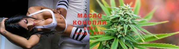 амф Алзамай