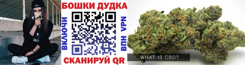 Конопля Amnesia  omg ТОР  Анива  где найти  